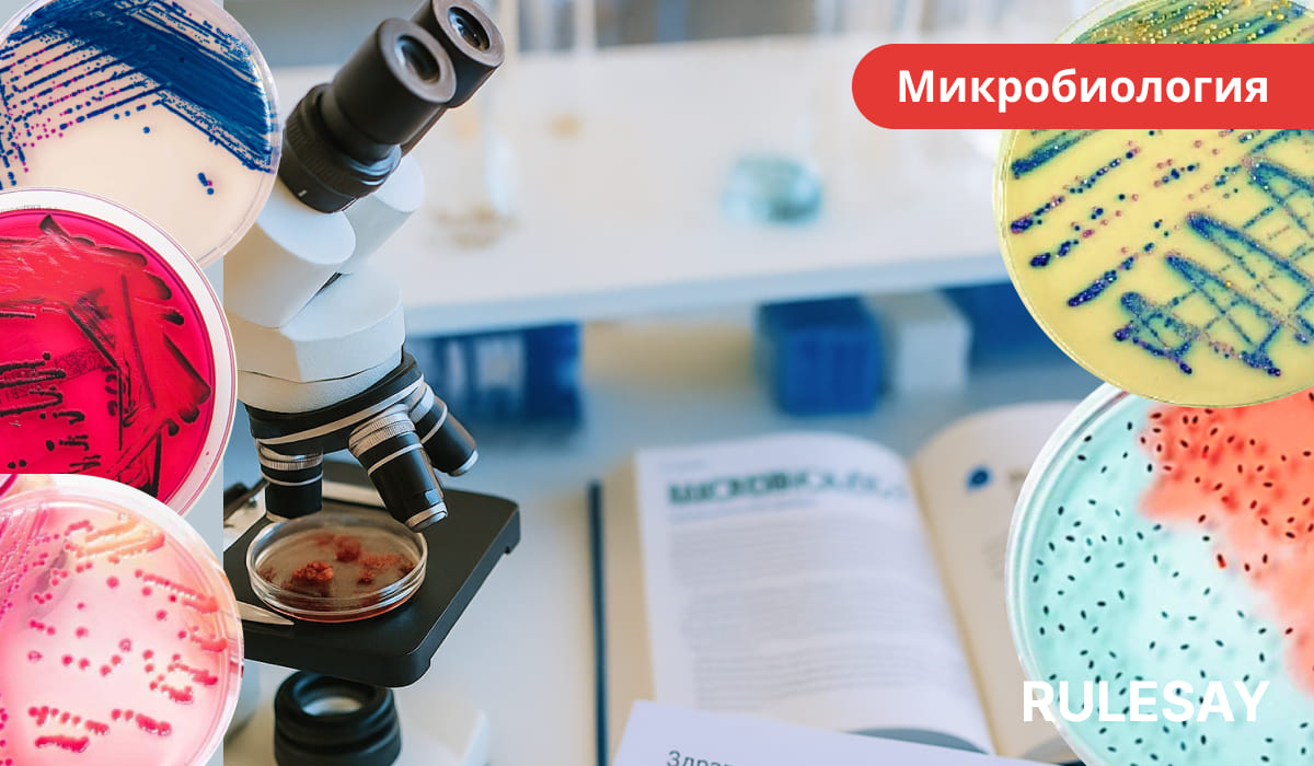 Микроскоп и чашки Петри с колониями бактерий на лабораторном столе, рядом раскрытая книга.