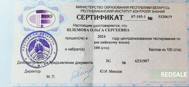 На фото изображена работа Ольги, получившей 100 баллов на ЦТ 2024.