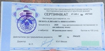 ЦТ 2020, 85 баллов, Елизавета