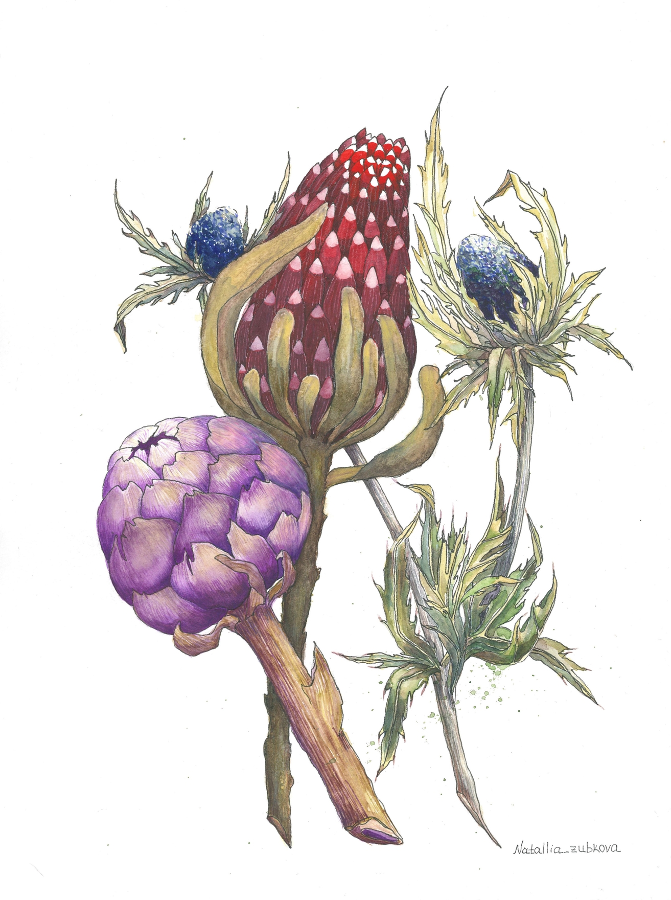 Графика акварелью. Тема цветы, цветочные композиции.