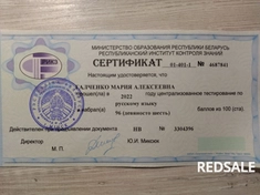 Моя ученица сдала ЦТ на 100 баллов. Занятия проводились в течение года, один раз в неделю.