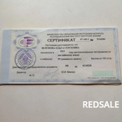 ЦТ 2023, мой сертификат, чуть-чуть не хватило до заветной сотни)).