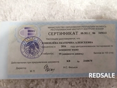 Результат одного из моих ЦТ , Сертификат 2016 г.