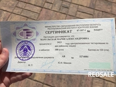 ЦТ 2023, 100 баллов, Маша. Тот случай, когда ученик превзошел учителя))) Горжусь!