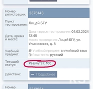 Итоги тестирования моего ученика за 2024 год после 1.5 года подготовки, с одним индивидуальным занятием в неделю.