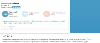 Русский язык. Централизованный экзамен 2025. 96 баллов.