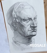 Обучаю всем правилам и тонкостям академического рисунка. Работа ученицы 20 академических часов. 