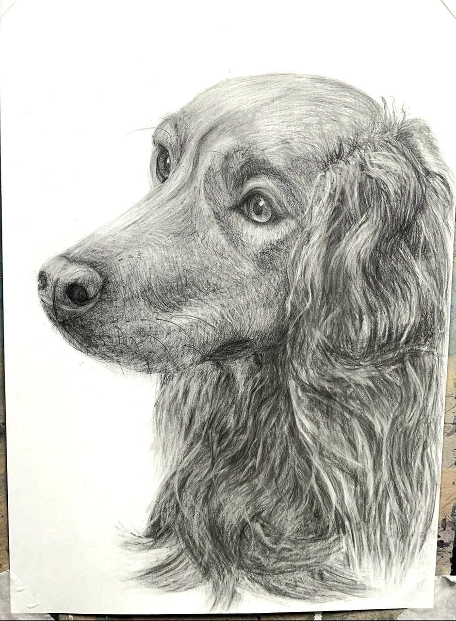 Обучение рисунку карандашом. Техника: графитный карандаш, послойное наложение штрихов для передачи фактуры.