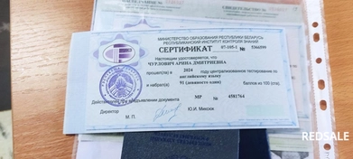 На фото работа Арины, которая набрала 91 балл на ЦТ 2024.